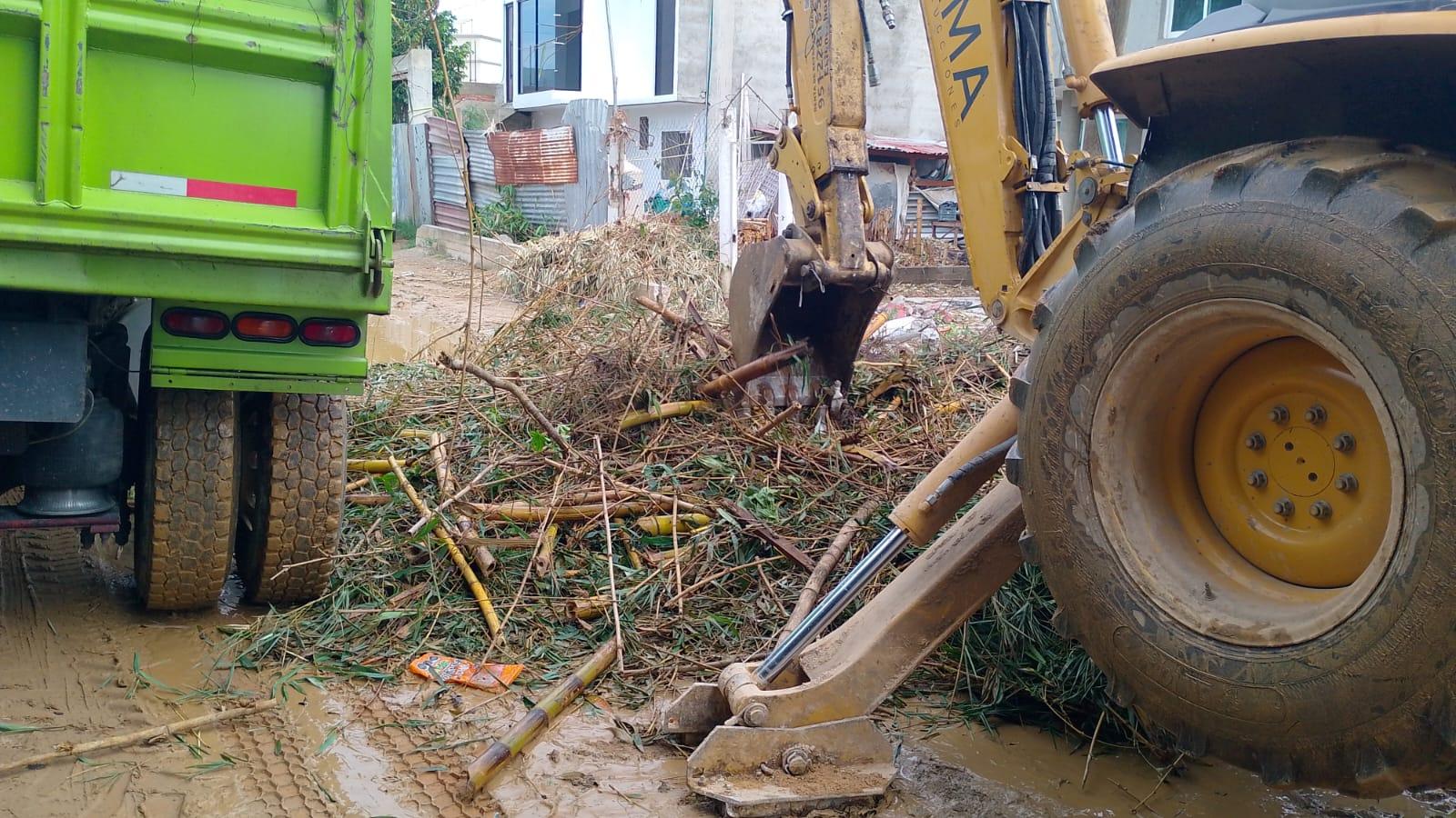 LIMPIEZA DE TERRENOS CON MAQUINA
